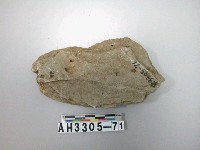 藏品(中型打製石斧)的圖片